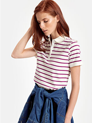 Light Purple Striped