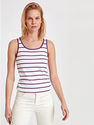 Light Purple Striped