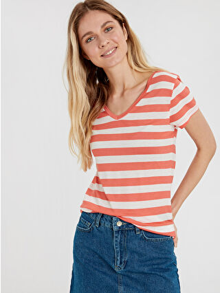 Coral Striped