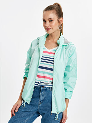 Mint