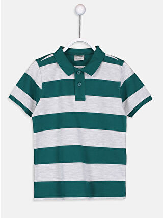 Dark Green Striped