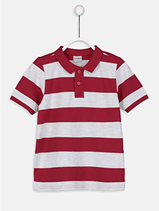 Dark Red Striped