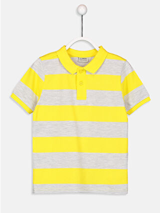 Yellow Striped