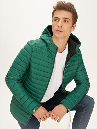 لون أخضر فاتر