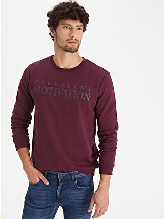 Wine Bordeaux