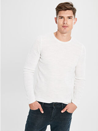 لون مرجاني نيون