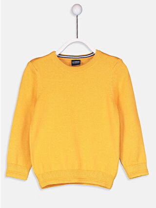 Light Orange
