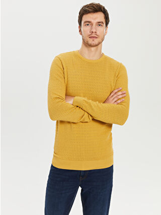 Dark Yellow