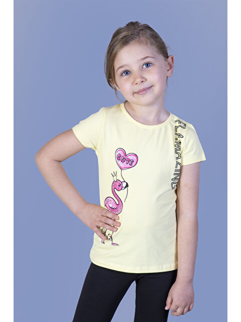 Toontoykids Kız Çocuk Flamingo Desenli Taş İşlemeli Baskılı Tişört - S000324777-20072