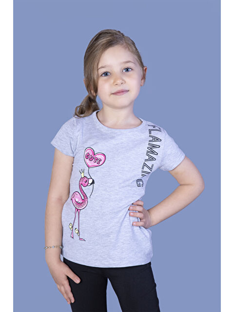 Toontoykids Kız Çocuk Flamingo Desenli Taş İşlemeli Baskılı Tişört - S000324777-74