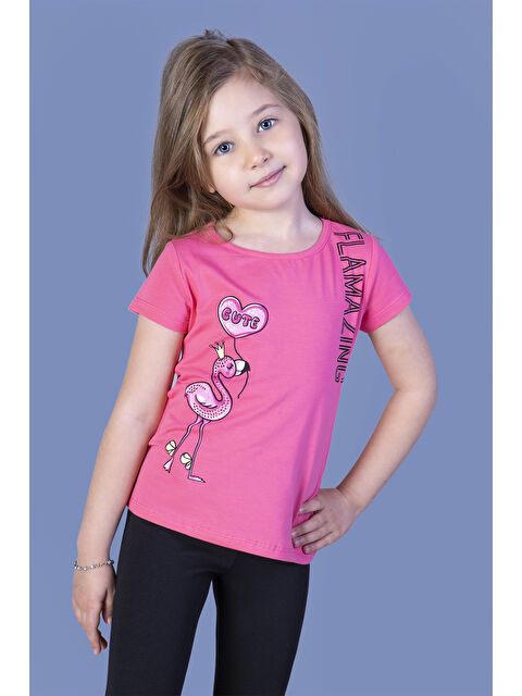 Toontoykids Kız Çocuk Flamingo Desenli Taş İşlemeli Baskılı Tişört - S000324777-18686