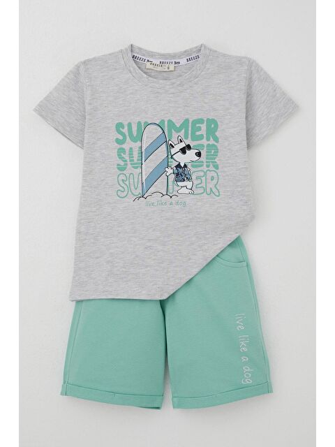 Breeze Erkek Çocuk Şortlu Takım Yaz Temalı Sörfçü Köpekçik Baskılı Açık Gri Melanj (2-6 Yaş) - S000434019-17308