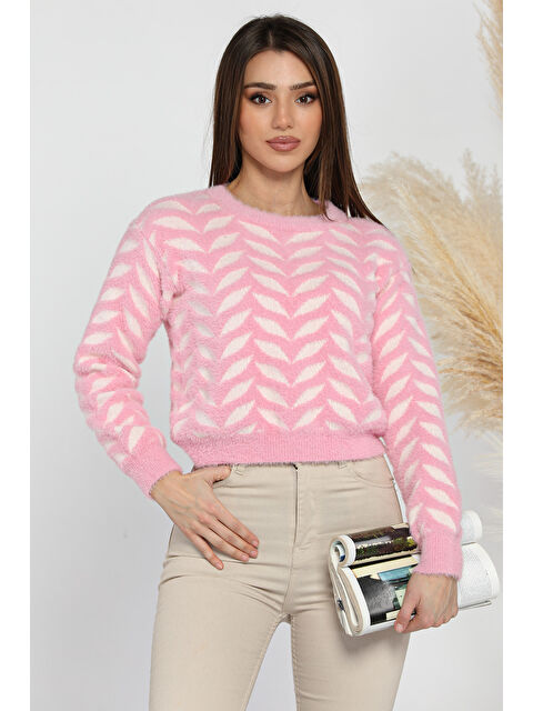 Gülseli Bisiklet Yaka Desenli  İplik Croptop Kadın Triko Kazak - S000313222-20024