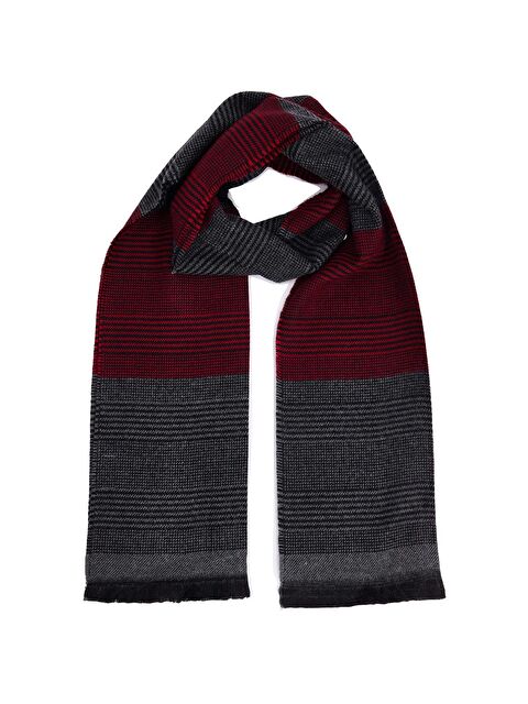 TUDORS Erkek Kışlık Atkı - S000520131-19951