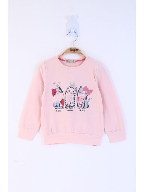 Toontoykids Kız Çocuk Üç Kedi Baskılı Tişört - S000501952-6354