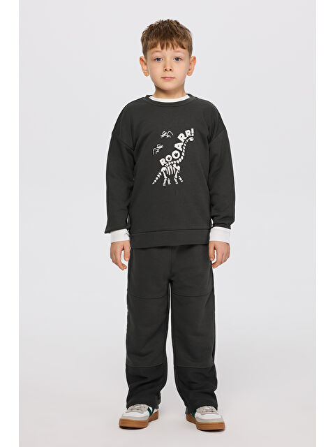 Panço Erkek Çocuk Dinozor Baskı Antrasit Sweatshirt - S000514474-29666