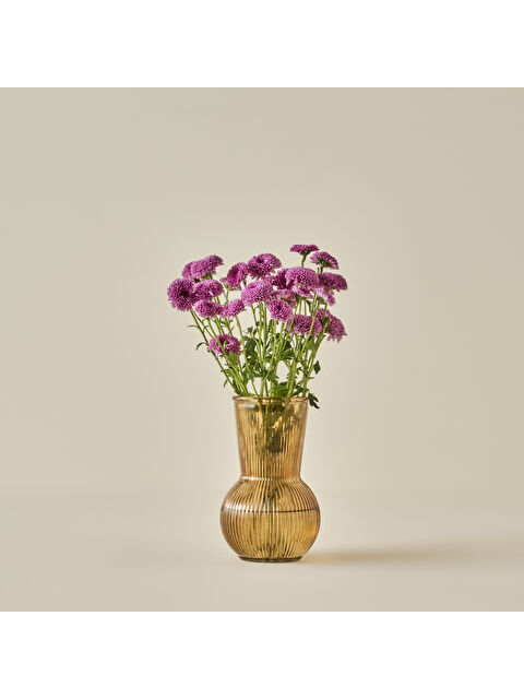 Bella Maison Eva Cam Vazo Amber (11x20 cm) - S000325702-19413