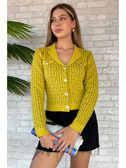 Gülseli Desenli Triko Hırka - S000289585-18194