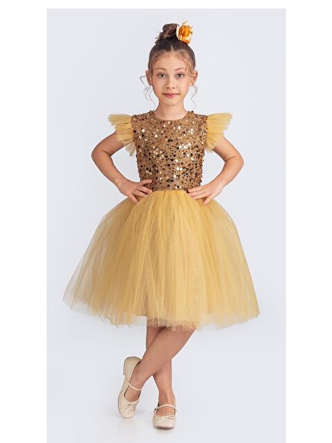 Mnk Baby & Kids Tüllü Kız Çocuk KPL Elbise MNK0526 - S000388988-20072