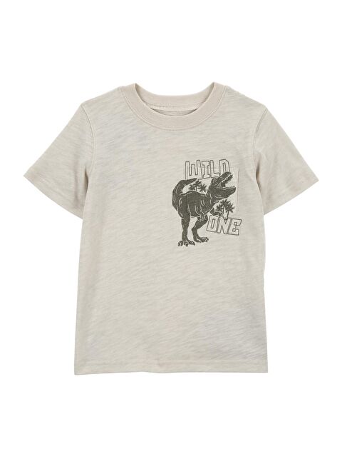 Carter's Küçük Erkek Çocuk Tshirt - S000268312-23173