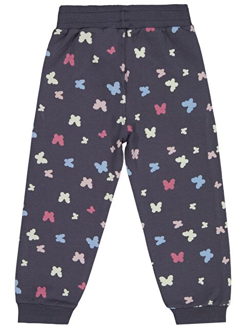 Civil Girls Kelebek Baskılı 2-5 Yaş Eşofman Altı - S000466646-29666