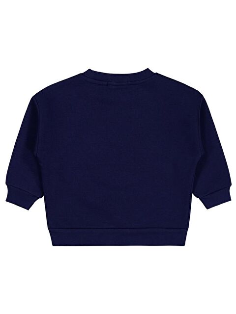 Civil Boys Go Team Tıger Baskılı 2-5 Yaş Sweatshirt - S000466668-21164