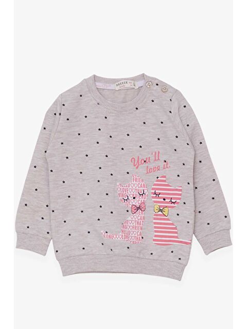 Breeze Kız Bebek Sweatshirt Mutlu Kedicikler Bej Melanj (4 Ay-1 Yaş) - S000465921-19928