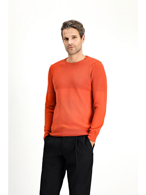 Kiğılı Bisiklet Yaka Slim Fit Dar Kesim Desenli Pamuklu Triko Büyük Beden Kazak - S000405088-18657