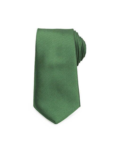 TUDORS Klasik Cep Mendilli Desenli Yeşil Erkek Kravat - S000340904-18194