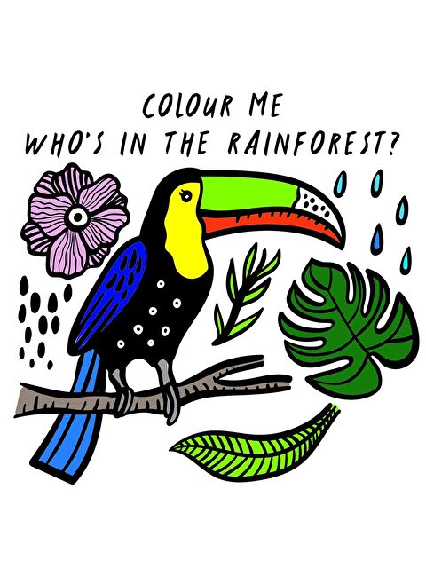 QED Publishing Colour Me: Who's In The Rainforest? - S000455582-23173