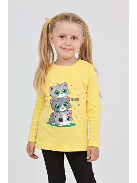 Toontoykids Kız Çocuk Üçlü Kedi Baskılı Sweatshirt - S000420613-20067