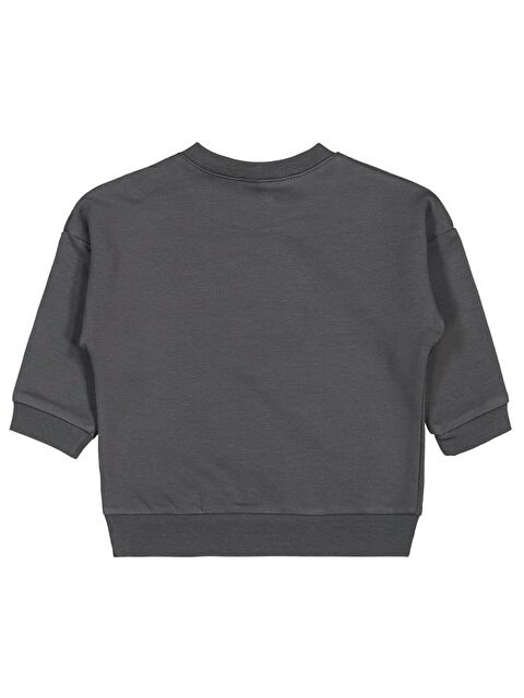 Civil Baby Teddy Baskılı 6-18 Ay Sweatshirt - S000466485-29351