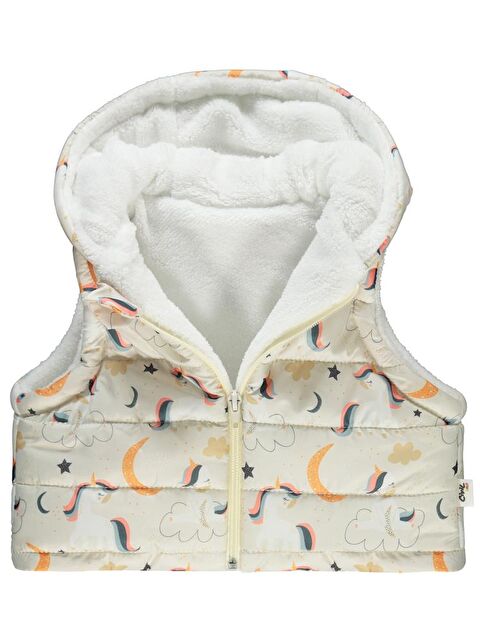 Civil Baby li 6-18 Ay Yelek - S000471537-19965