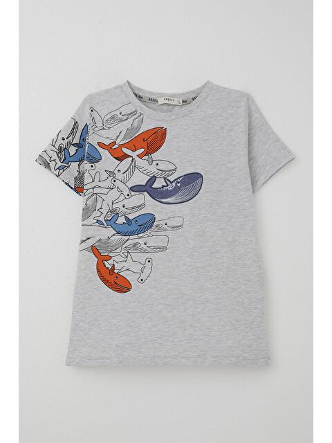 Breeze Erkek Çocuk Tişört Mavi Dünyanın Kahramanları Balinalar Açık Gri Melanj (5-9 Yaş) - S000502012-17308