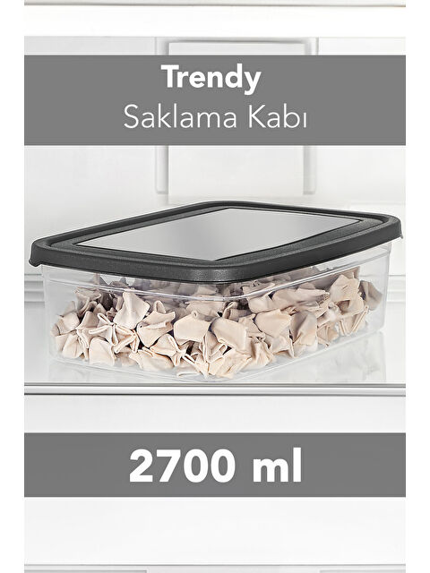 Meleni Home Saklama Kabı 2700 ml