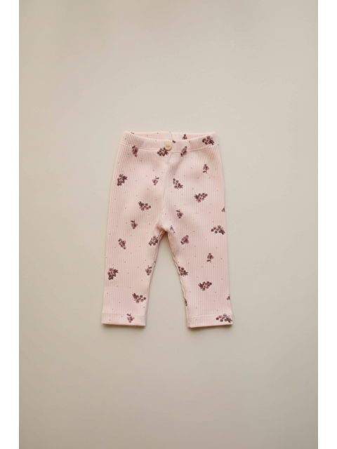 Oh La La Koala For Little Ones Üzüm Baskılı Kız Bebek Kaşkorse Tayt