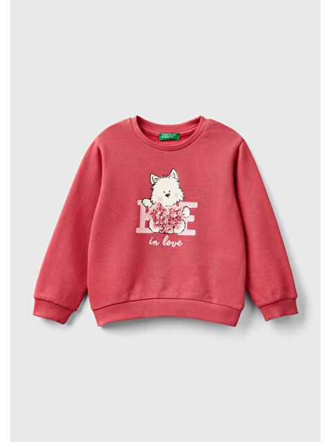 United Colors Of Benetton Kız Çocuk Gül Kurusu Önü İşlemeli Ribana Detaylı Normal Kesim Bisiklet Yaka Sweatshirt - S000293457-20022