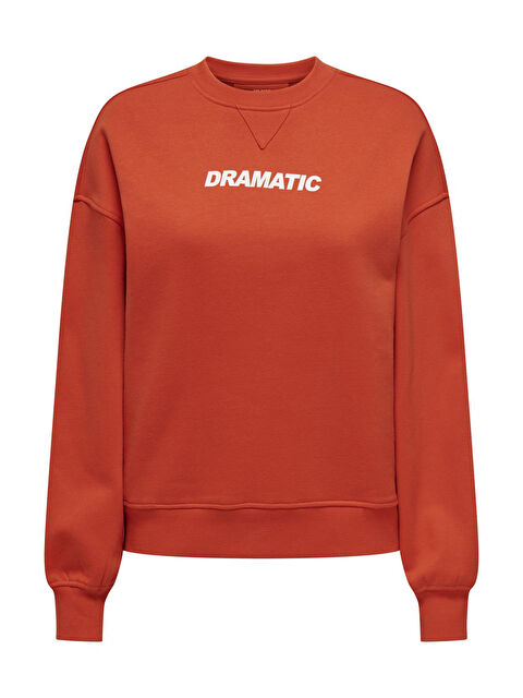 Only Onlsofia Baskılı Streç Pamuklu Regular Fit Bisiklet Yaka Kadın Sweat 15329876 - S000303848-20009