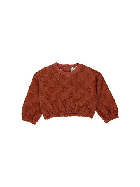 Panço Kız Çocuk Crop Sweatshirt - S000267545-19957