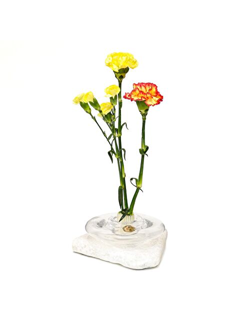 Missi Flora Design-Balance Series Şeffaf Cam Vazo - S000506211-26865