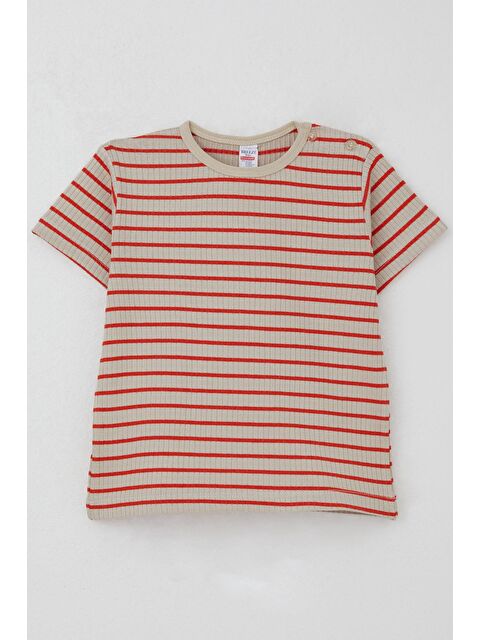 Breeze Erkek Çocuk Tişört Patlı Çizgili Bej (1-4 Yaş) - S000377900-19928