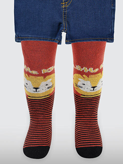 Civil Baby Erkek Bebek Havlu Külotlu Çorap 0-12 Ay Kiremit - S000316812-18657