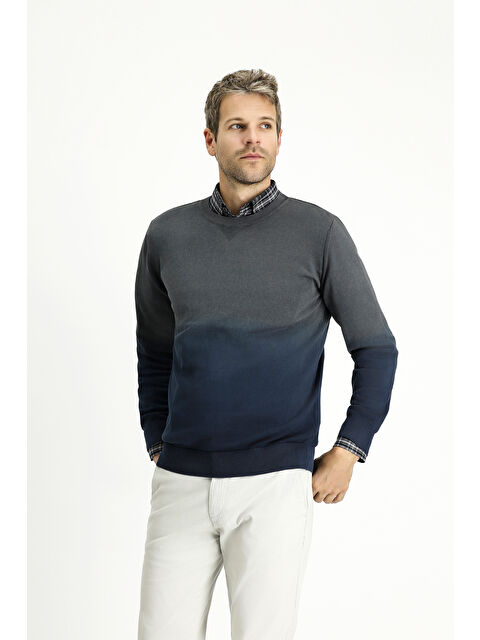 Kiğılı Bisiklet Yaka Regular Fit Desenli Pamuk Triko Kazak - S000407192-23710