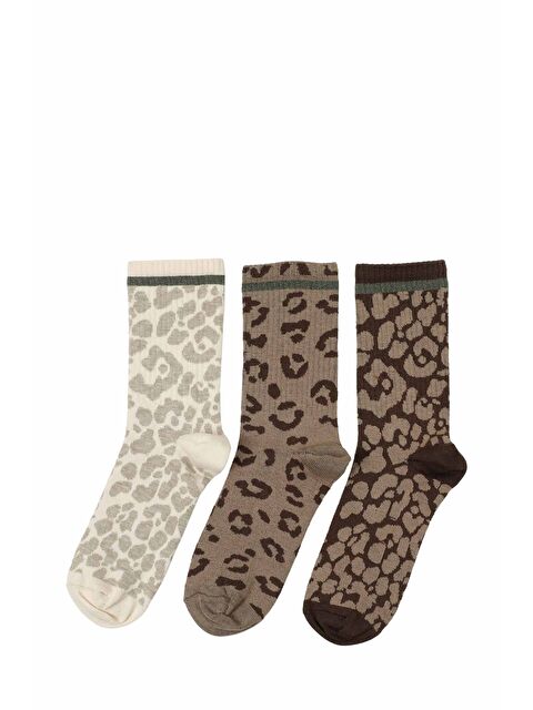 Polaris LEOPAR  3 LU SKT-W 5PR KAHVE MULTI Kadın Soket Çorap - S000462886-19413