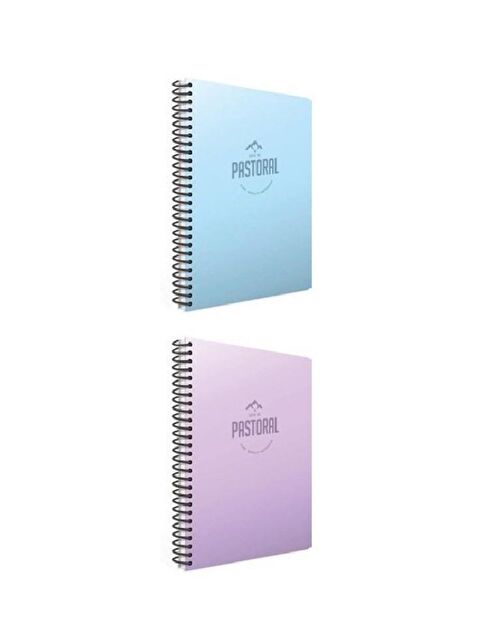 Gıpta Pastoral A4 96 Yaprak Plastik Kapak Spiralli Kareli 2 li Defter Seti - S000240249-27074