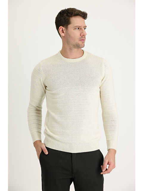 Kiğılı Bisiklet Yaka Slim Fit Dar Kesim Desenli Triko Büyük Beden Kazak - S000405105-19965