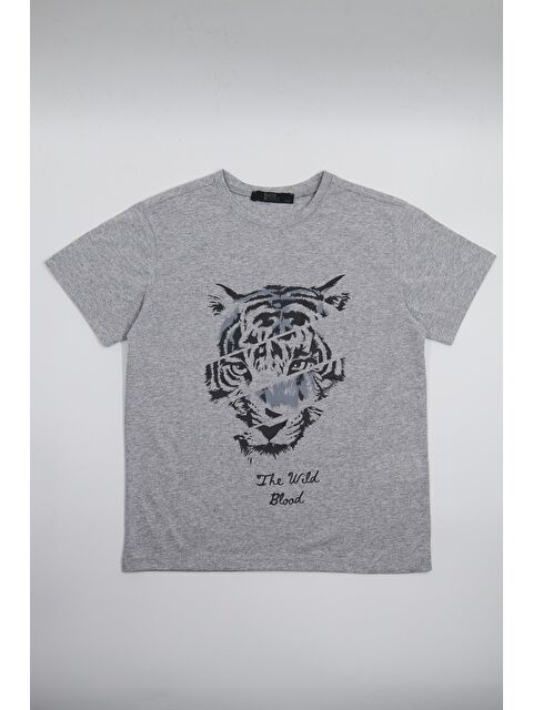 Chandraswear Erkek Çocuk Tshirt Gri Melanj - Hugo - S000216108-20600