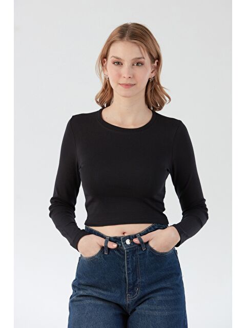 Fullamoda Basic Crop Body - S000386683-19351