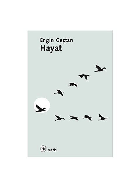 Metis Yayınları Hayat Engin Geçtan - S000339690-10231