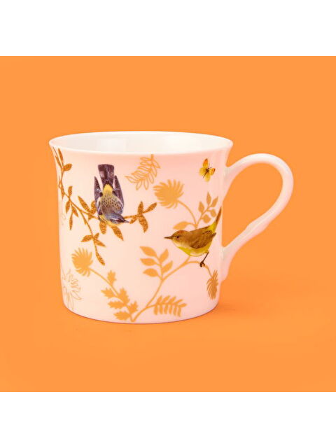 Evidea Kitchen Kuş Desenli New Bone Kupa - Renkli - 300 ml